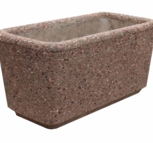 kvitnik_chovnik_surik